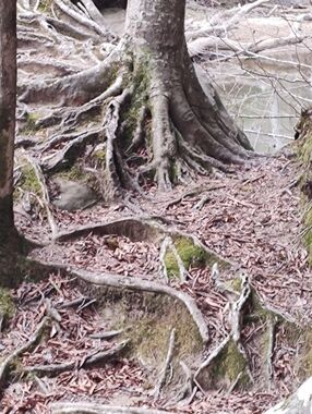 Meet your Posher, Shawna